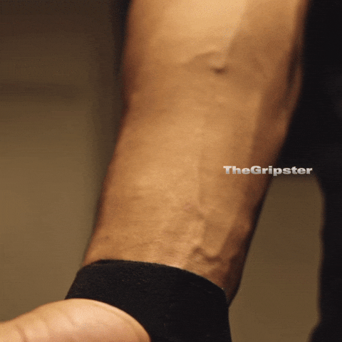 Gripster Strength Trainer